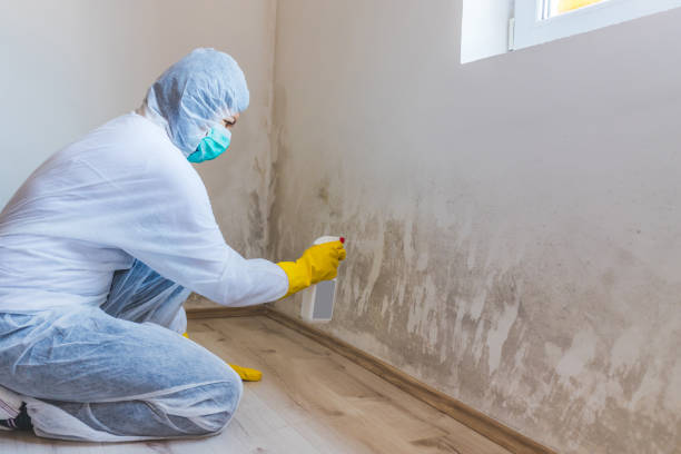 Licensed Commercial Mold Remediation service in Erwinna, PA - WQB Mold Removal