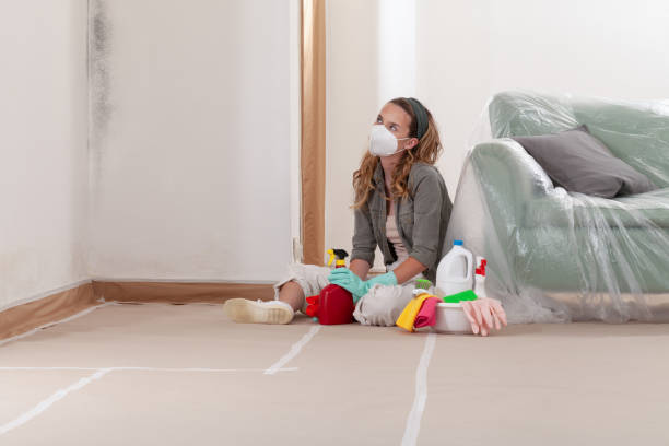 Reliable Commercial Mold Remediation contractor in Erwinna, PA by WQB Mold Removal