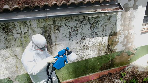 Top rated local Commercial Mold Remediation specialists in Erwinna, PA